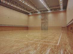 写真 サブアリーナ内観